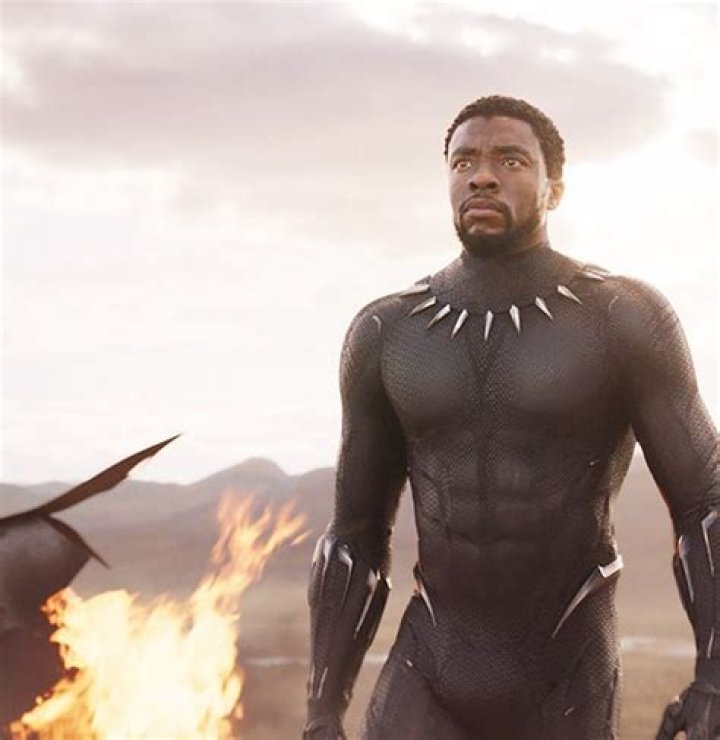 Black Panther New Suit Revealed In ‘Wakanda Forever’ Trailer – Hollywood Life