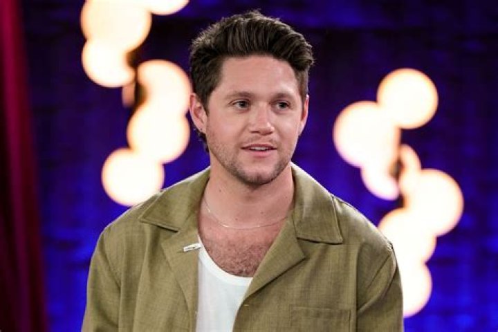 Niall Horan Hooking Up With Sexy Brazilian Singer Anitta